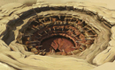 Ss_20100401_sarlacc01_800x450_1_